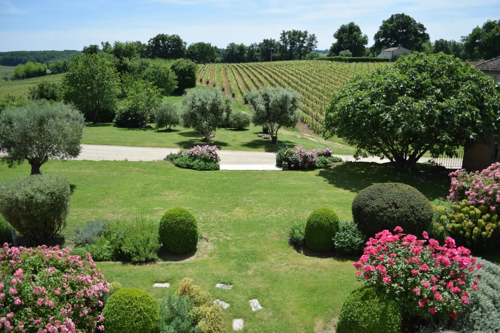 Le Jardin et les vignes